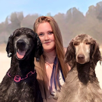 HuntingPoodles's Avatar'