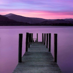 brownking38's Avatar'