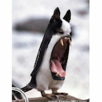 Chris_P._Bacon's Avatar'