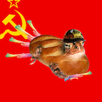 Ropuchanka's Avatar'