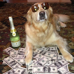 MakeItRayn1's Avatar'