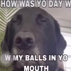 Allymizuli's Avatar'