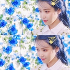 B.Kobi's Avatar'