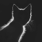 Water711_NG's Avatar'