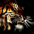 Karma.CoW's Avatar'