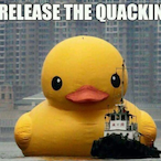The__Quacken's Avatar'