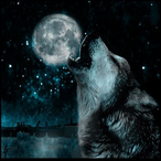 SHAD0WSKILLzZ's Avatar'
