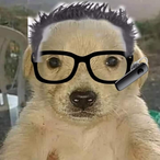 Ange1 AR's Avatar'