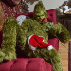 GrinchLover's Avatar'