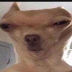 Griekonees's Avatar'