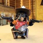 sosijdog's Avatar'