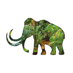 GARB3AR_FC's Avatar'