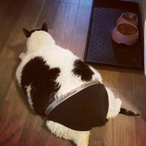 GIybo_Alt's Avatar'
