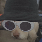 bananamaker1000's Avatar'