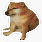 MrSadDoge's Avatar'