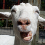 UneBiquette..'s Avatar'