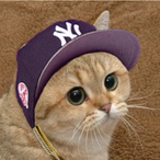 Scubulls's Avatar'