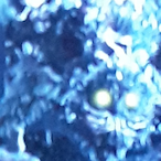 E.jpg's Avatar'