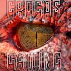 CrocosYeet's Avatar'