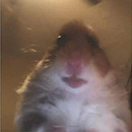 KOKUXMILK's Avatar'