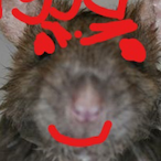 MyJawnBurns's Avatar'