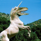 UnicornRaptor_x's Avatar