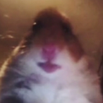 ThomasGrimace's Avatar'