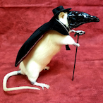 ToastiiNom's Avatar'