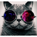 Farkas701's Avatar'