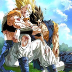 DieuVitesse.'s Avatar'