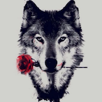 Utensils.XDD's Avatar'