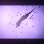 DMM_Andraste739's Avatar'