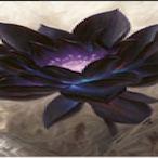 BlackLotusWDN's Avatar'