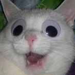 DemiGodIncino's Avatar'
