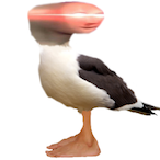 warm_water's Avatar'