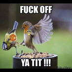 Count_Huge_Spuds's Avatar'