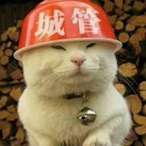 CGDD-XIAONUO's Avatar'