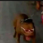 demonEren.'s Avatar'