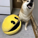 meatrocket2012's Avatar'