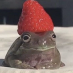 AkakiyJidkoperd's Avatar'