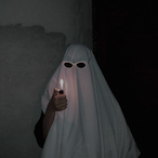 Tr0_p11cal's Avatar'