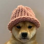 dog_with_hat's Avatar'