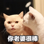 Blackpanda618's Avatar'