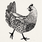 AlphaChicken3's Avatar'