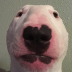 Zotix Bacon's Avatar'
