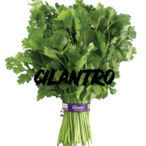 Cilantro..'s Avatar'