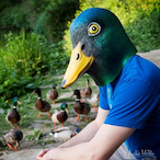 XPMF_DUCKY's Avatar'