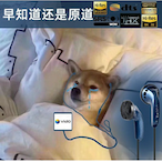HDD_Kiwi's Avatar'