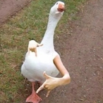 ThatOneGuy7316's Avatar'