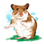 ham-taro23's Avatar'